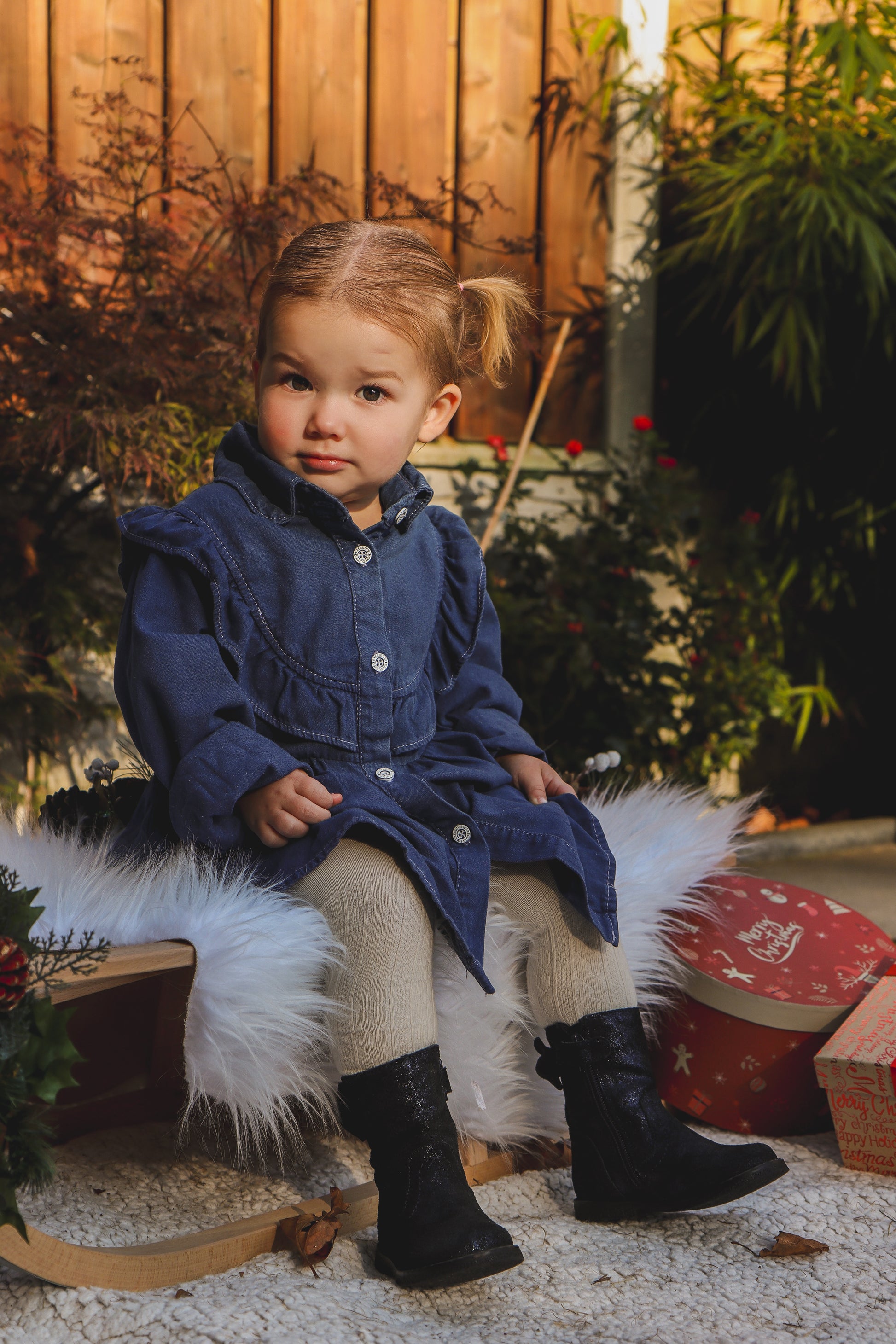Camila Denim Collar Ruffle Dress