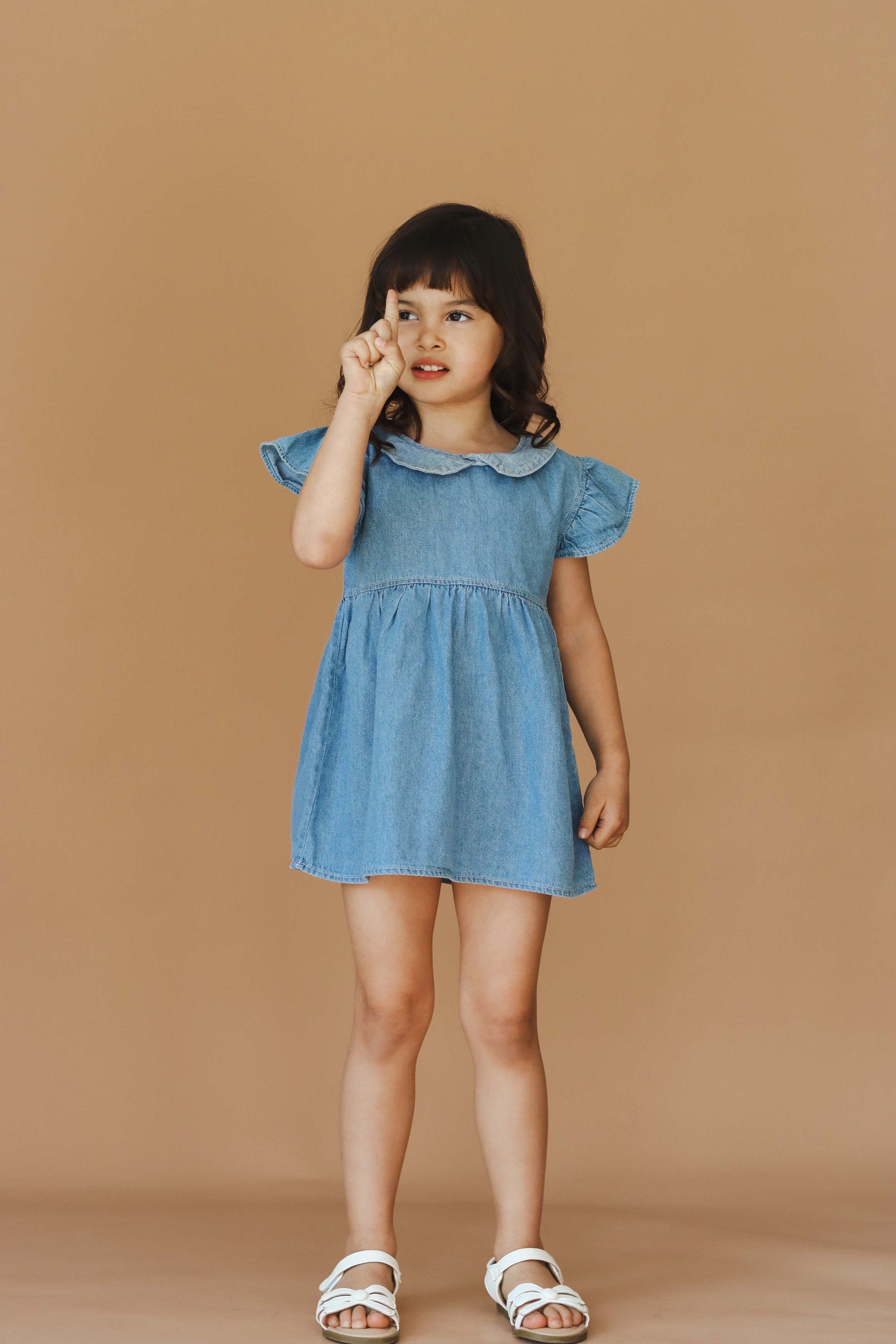 Tulip Denim Dress