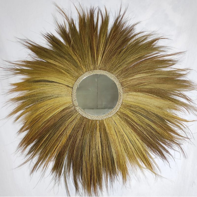 RAYUNG MIRROR