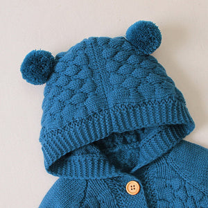 BEAR HOODIE JACKET